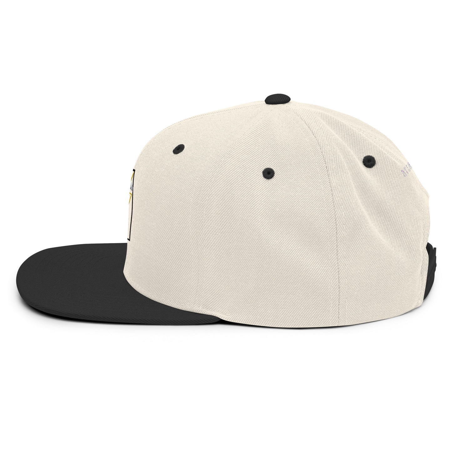 Snapback Hat AT