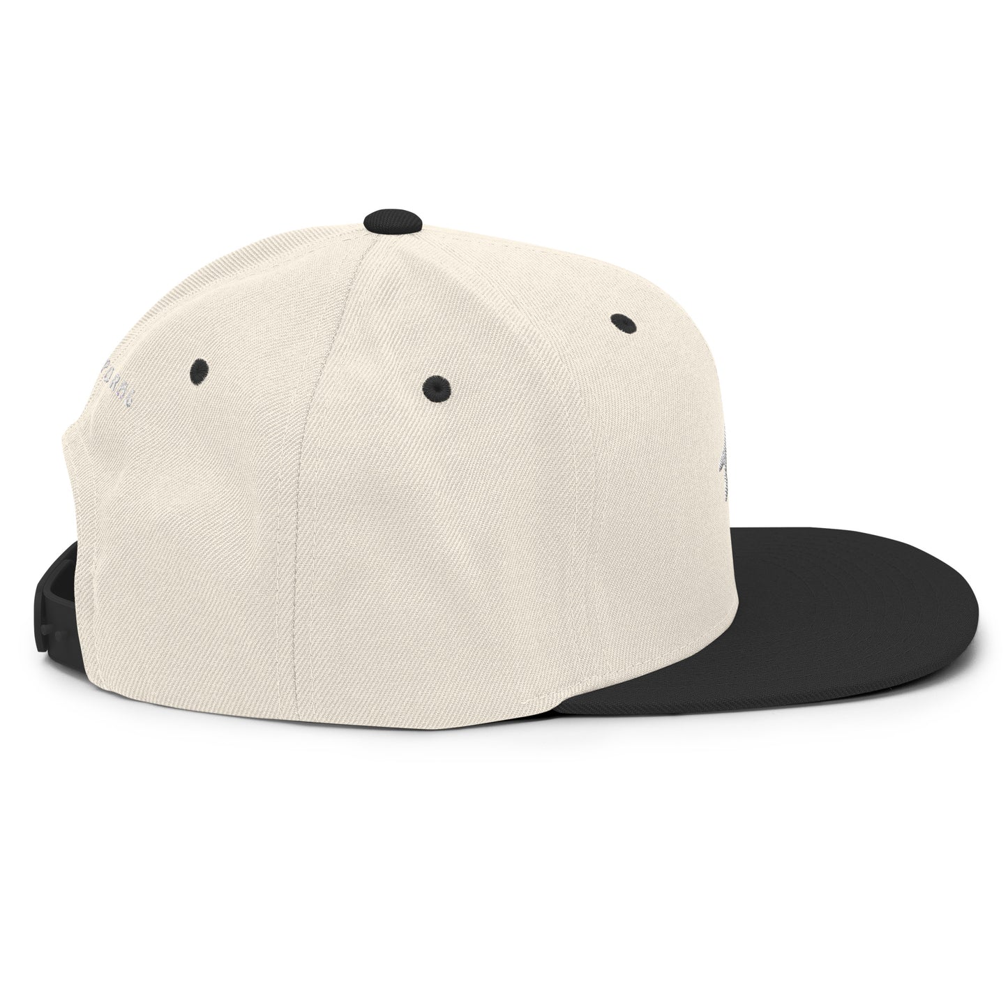 Snapback Hat AT